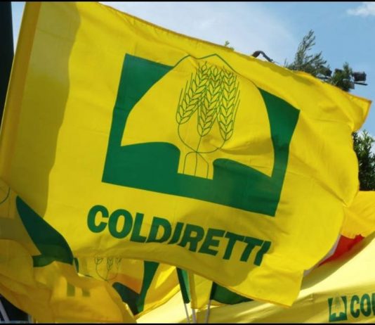 Coldiretti: “Liquidità immediata dalle istituzioni. C’è in gioco il Made in Italy nel settore agroalimentare”