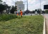 Matera, ripartono gli interventi di igiene urbana, sfalcio erba, derattizzazione e disinfestazione
