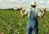 Coordinamento Agricoltori Basilicata: “Cicala, l’Assessore di tutte le associazioni di categoria?”