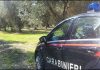 Furti nelle campagne, Coldiretti chiede intervento del Prefetto di Potenza