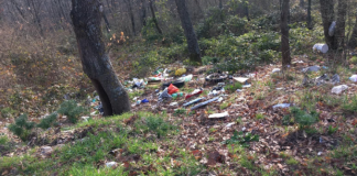 Fratelli d’Italia Pietragalla: “Finalmente un segnale di attenzione all’ambiente della minoranza consiliare”