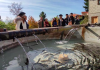 Anche il comune di Lauria alla Festa dei territori dell’acqua organizzata a Nemoli