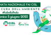 Ambiente, domenica 5 giugno a Sasso di Castalda la manifestazione ecologista “Fai bella l’Italia”