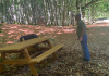 PATERNO – Riqualificazione area pic nic e zona ristoro Camporotondo