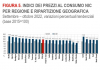 Latronico: “Bonus gas e bando non metanizzati, due misure per il futuro”