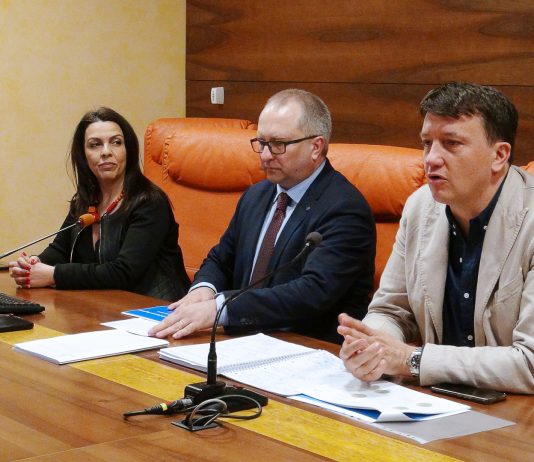 Mercato del lavoro, Galella: partire dai dati per programmare