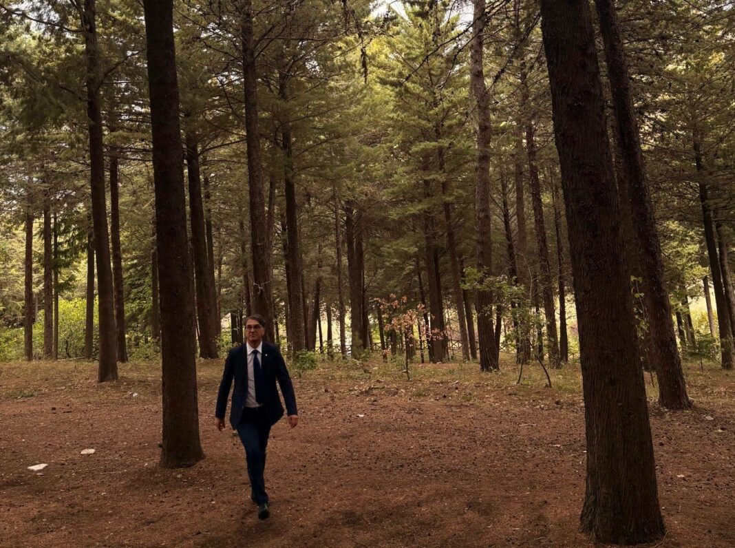 9337b14e-c88c-47b3-a247-b89ab846c96a